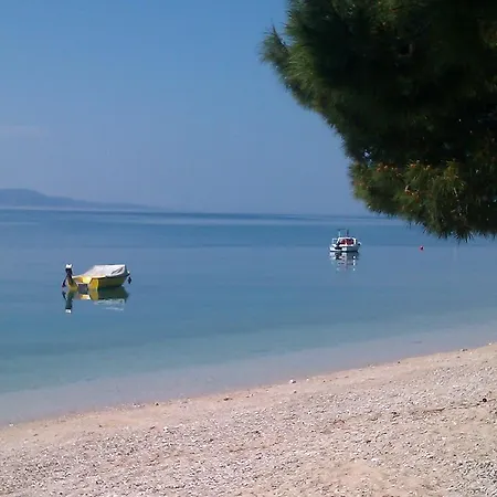 Rose Loboja Makarska